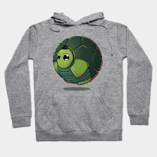 Turtle Ball Hoodie